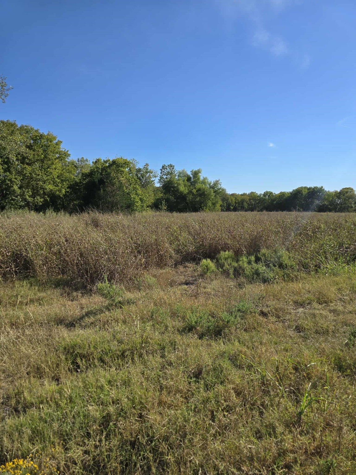 Tbd W Highway 175 Kaufman TX 75142