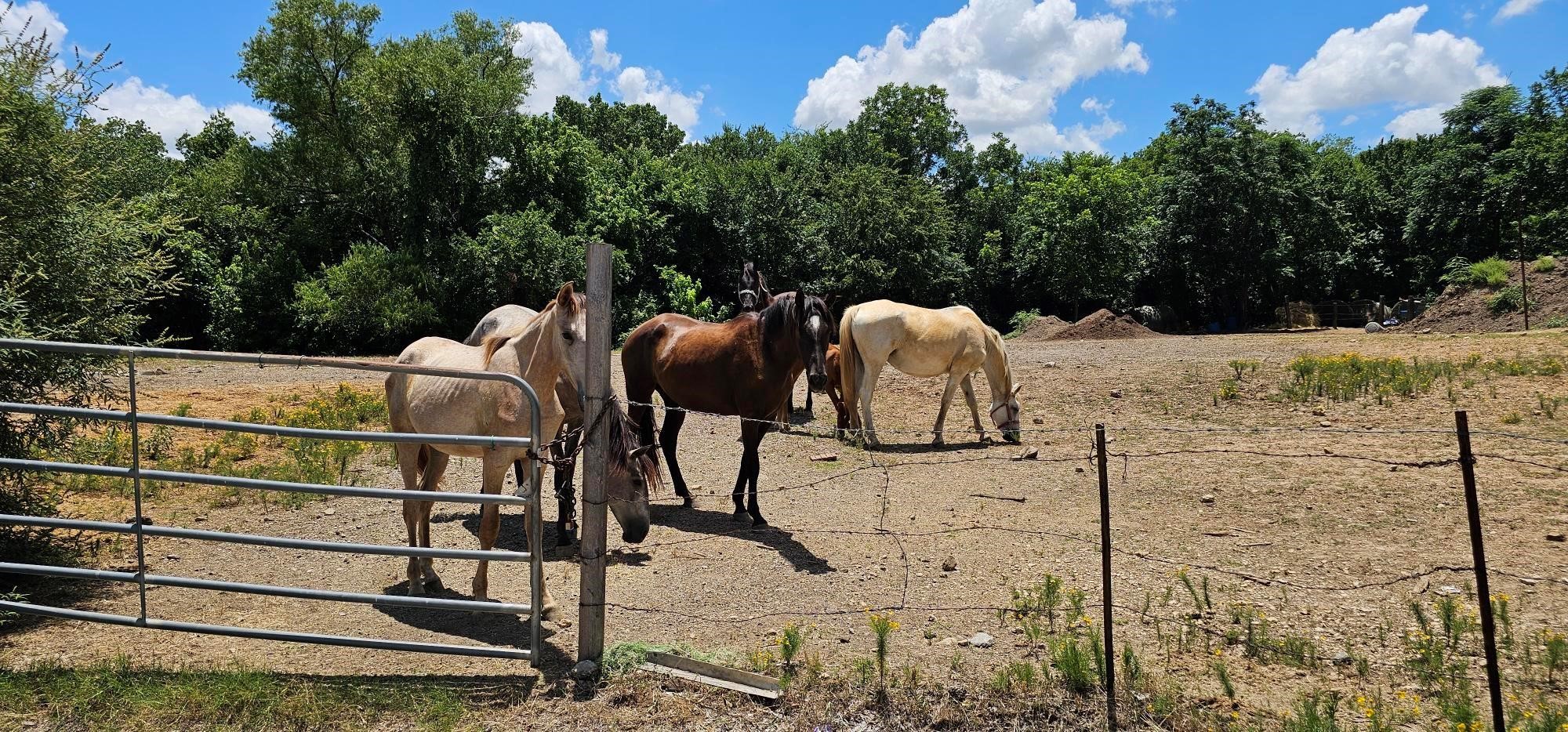 2001 Solona Street Haltom City TX 76117