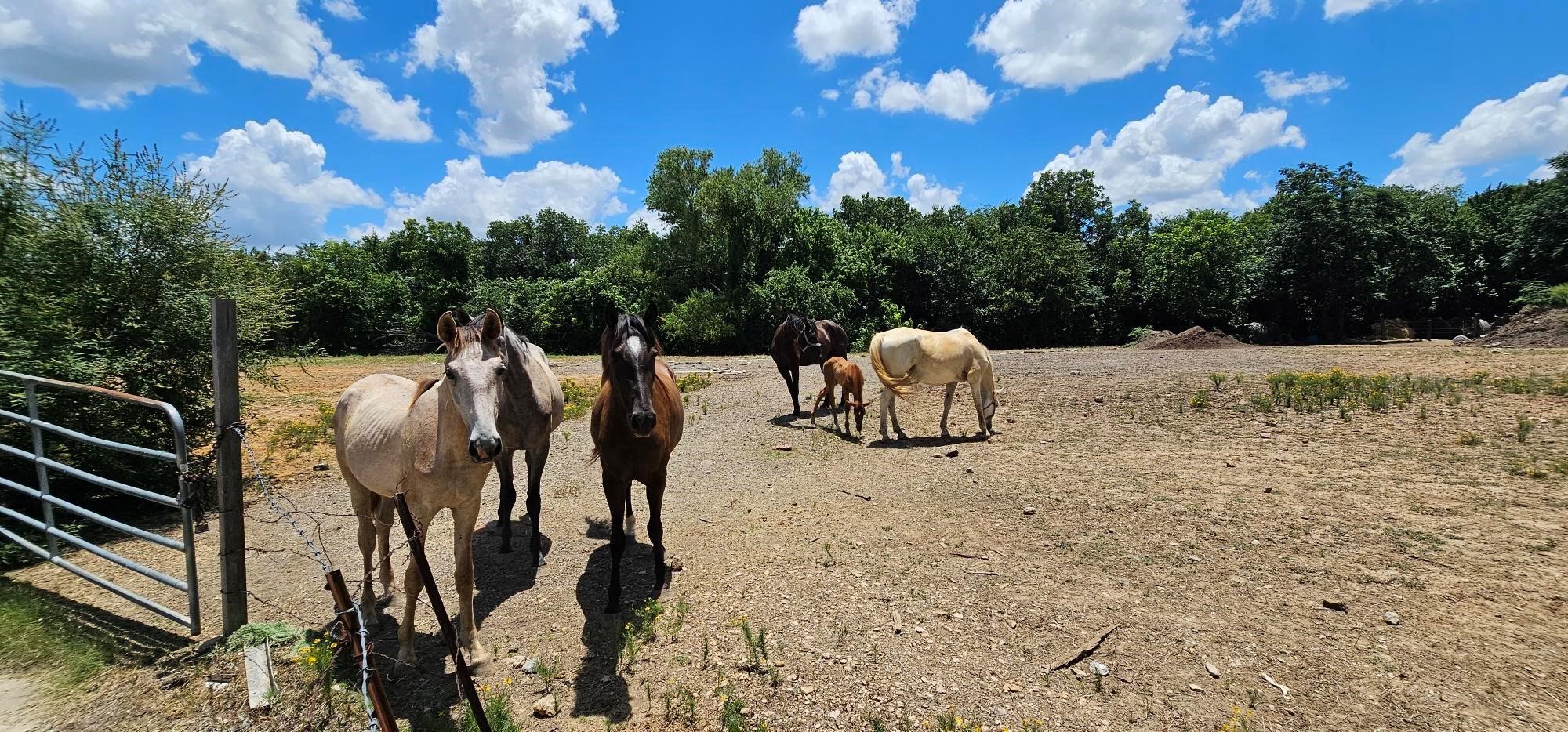 2001 Solona Street Haltom City TX 76117