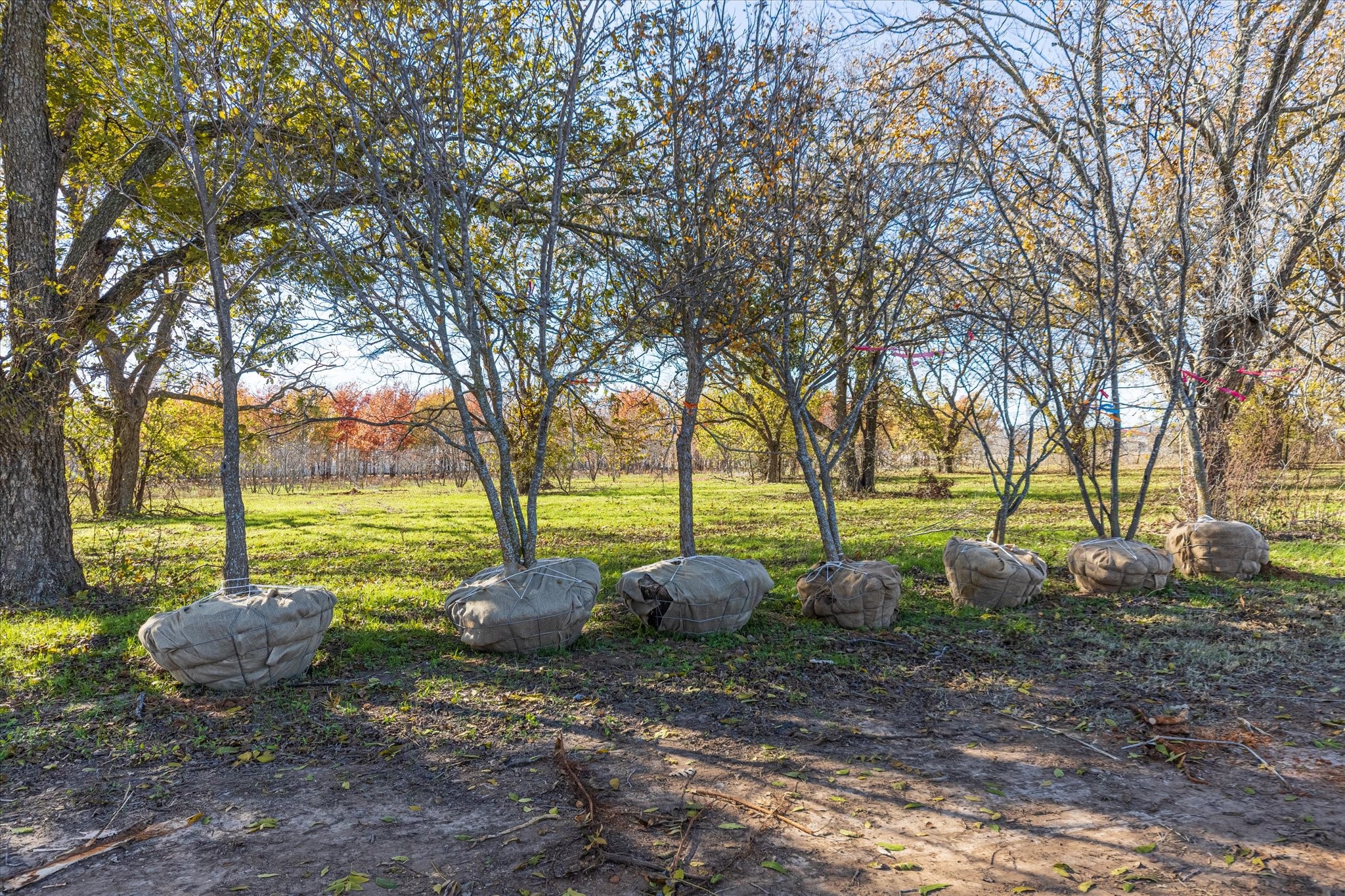 6407 S Us Highway 377 Stephenville TX 76401
