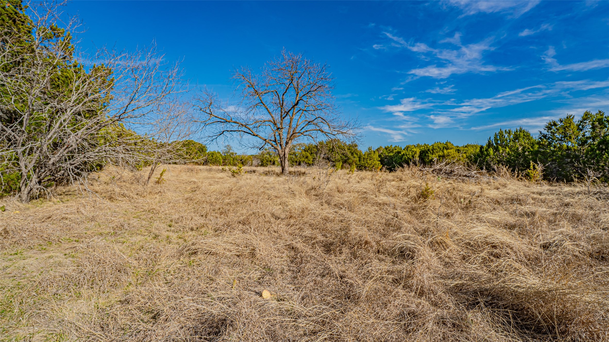103 S Fm 56 Glen Rose TX 76043