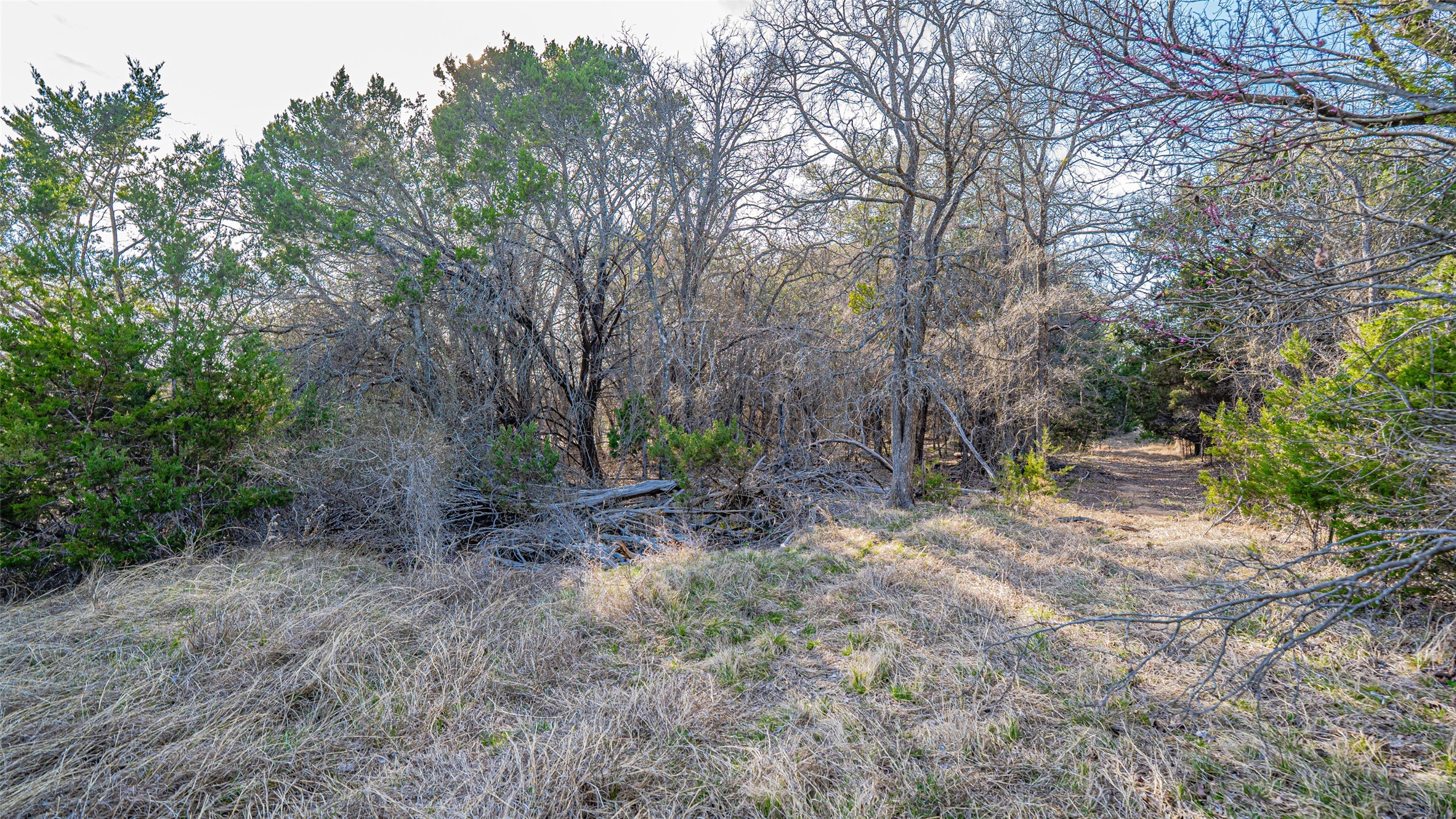 103 S Fm 56 Glen Rose TX 76043