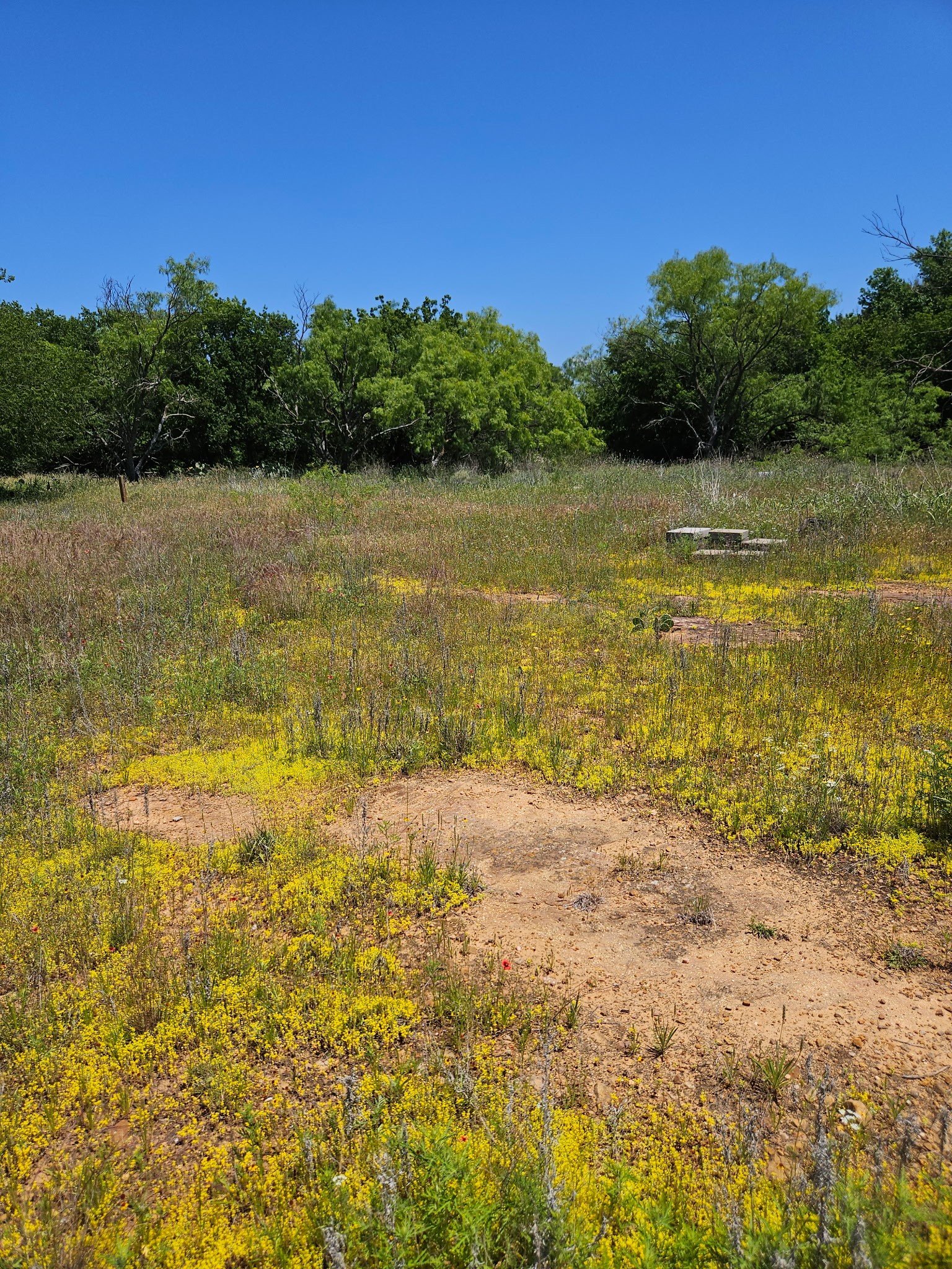 404 Highway 6 Cisco TX 76437