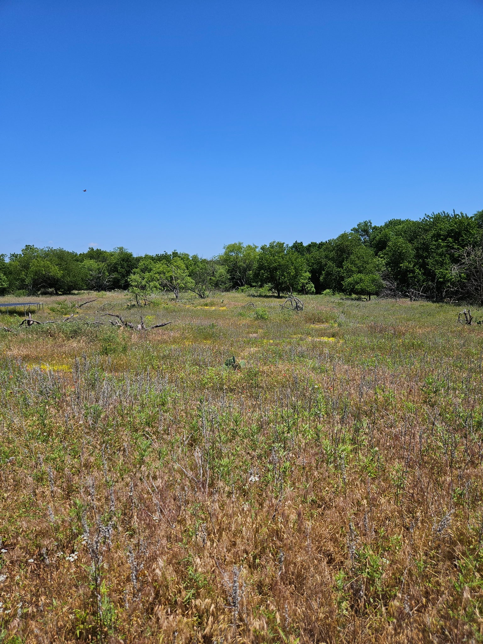 404 Highway 6 Cisco TX 76437