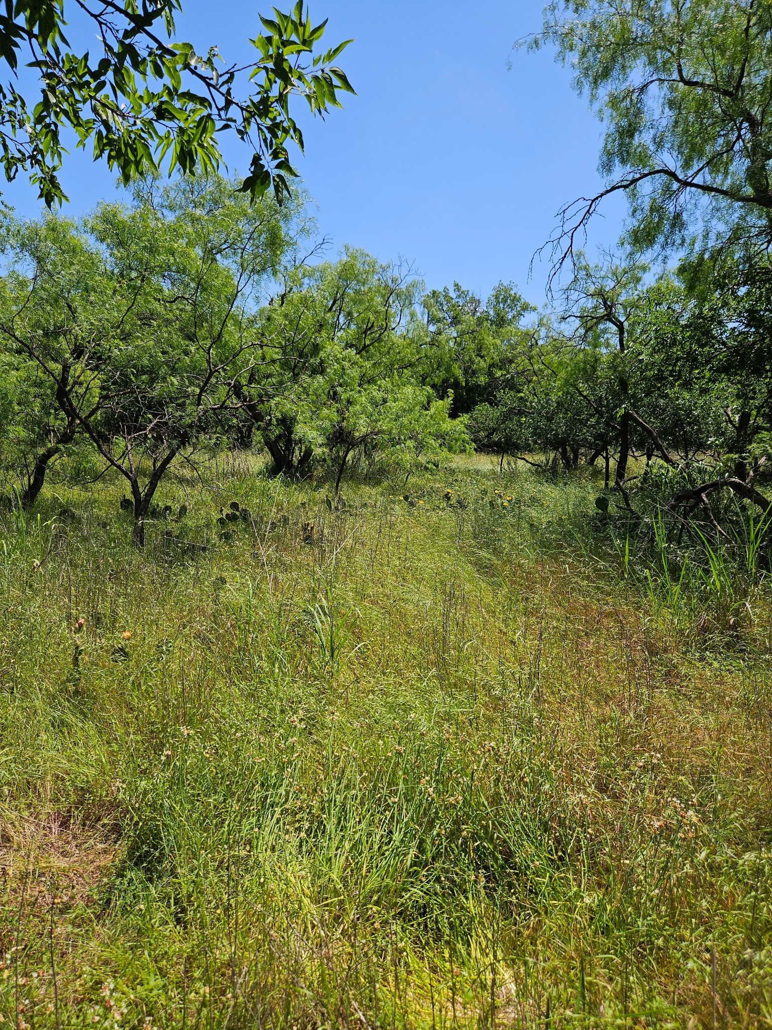 404 Highway 6 Cisco TX 76437