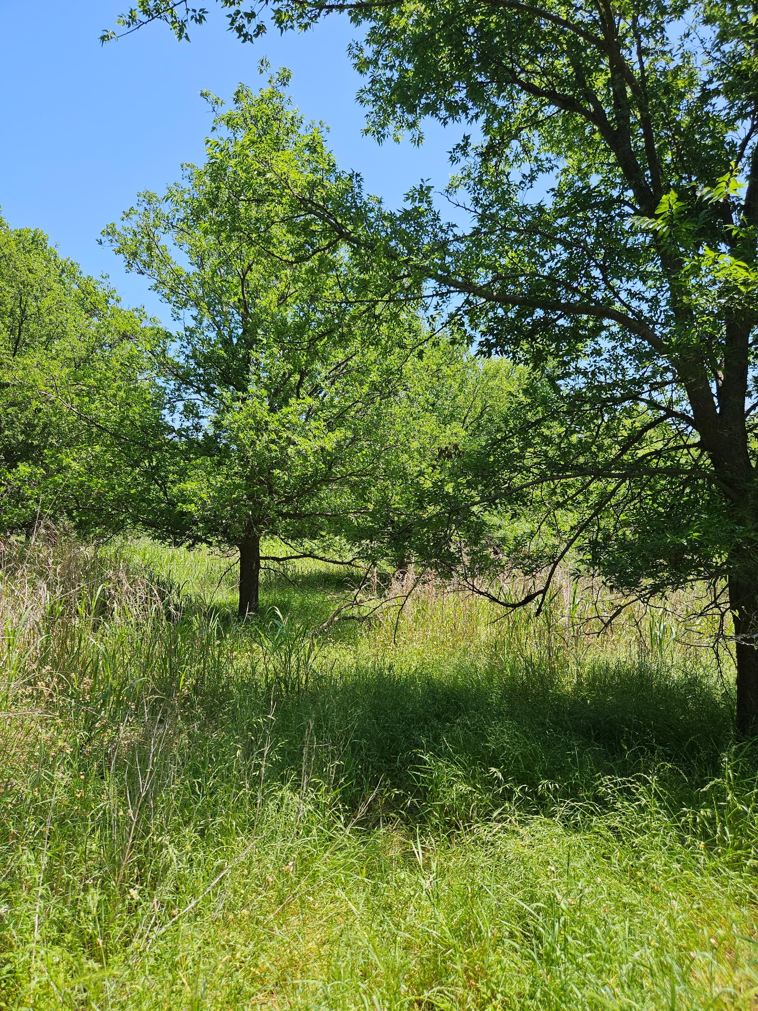 404 Highway 6 Cisco TX 76437