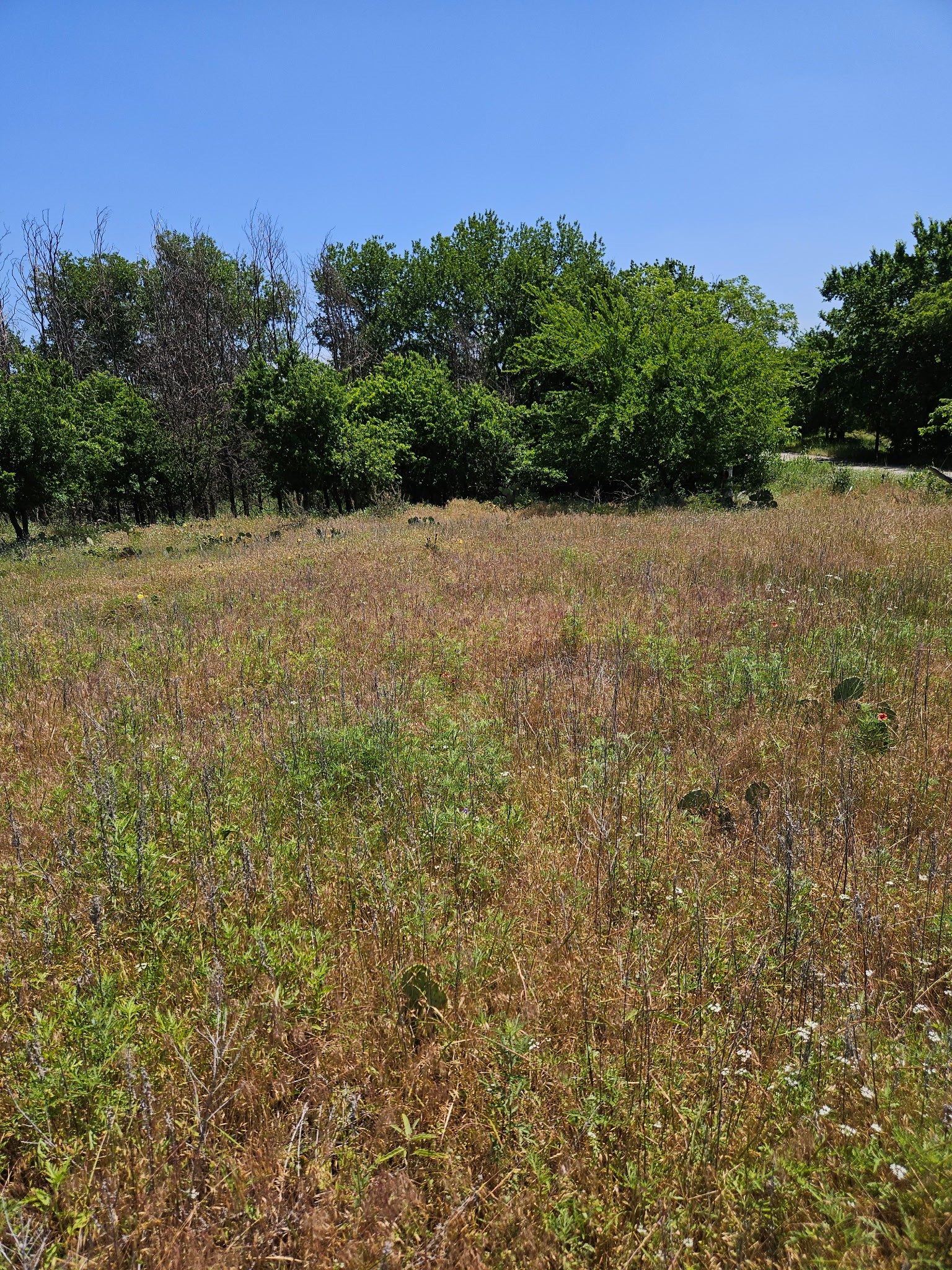 404 Highway 6 Cisco TX 76437