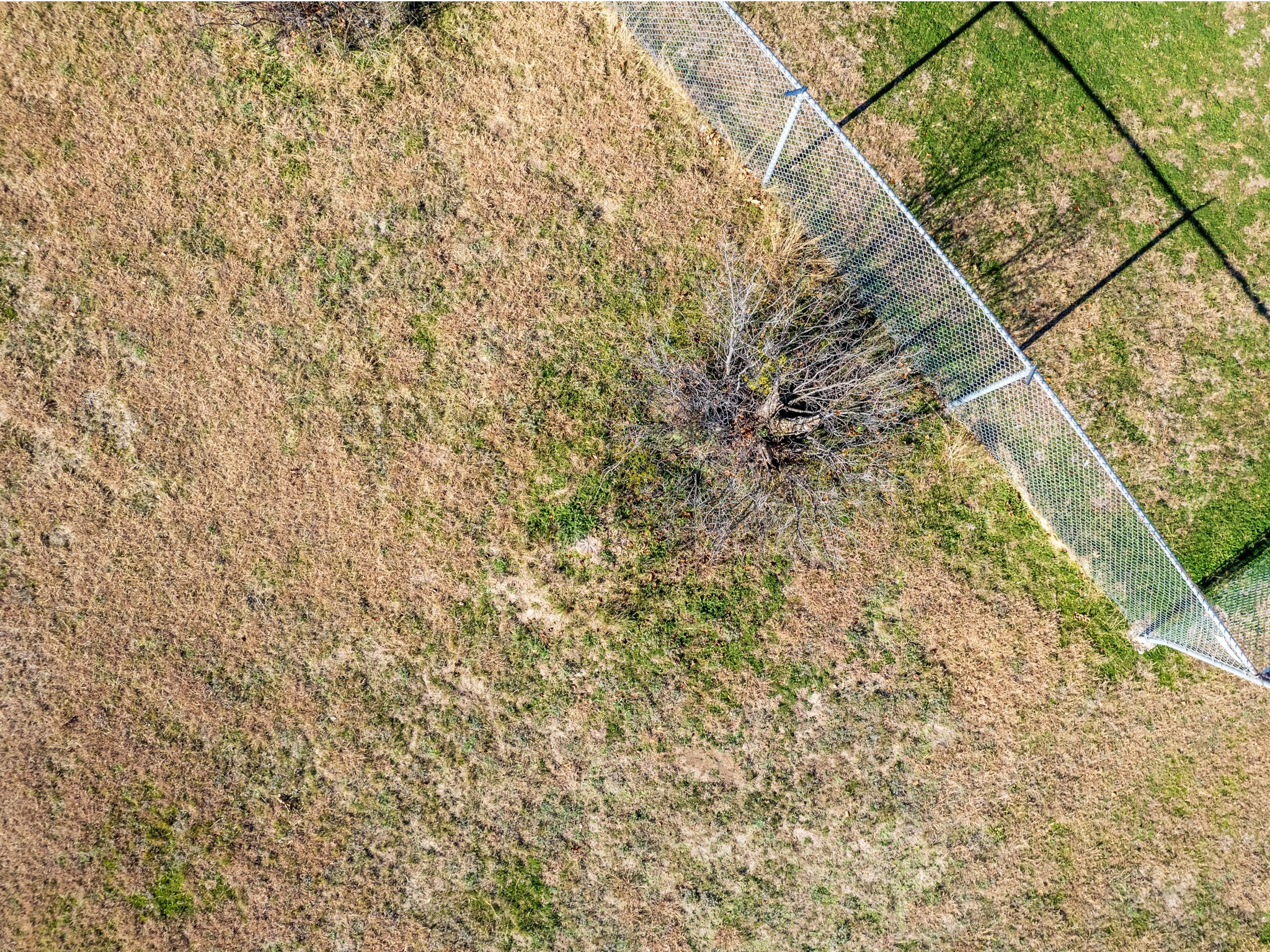 909 Pitts Lane Blanket TX 76432