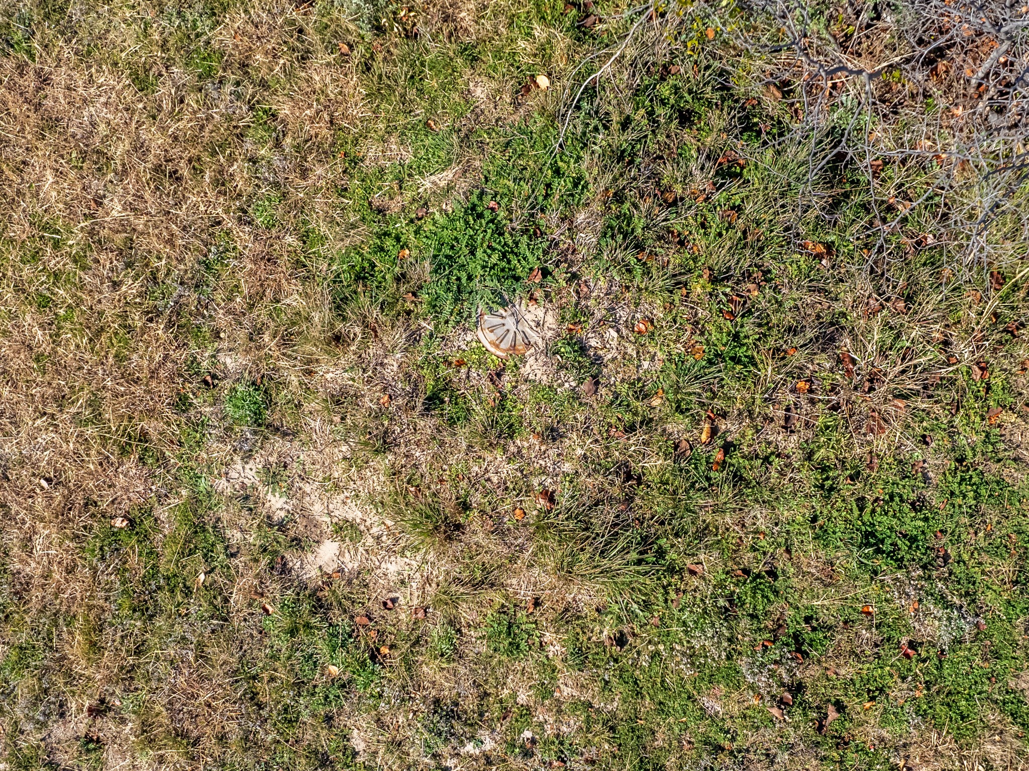 909 Pitts Lane Blanket TX 76432