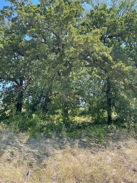 Tbd W Highway 380 Bridgeport TX 76426