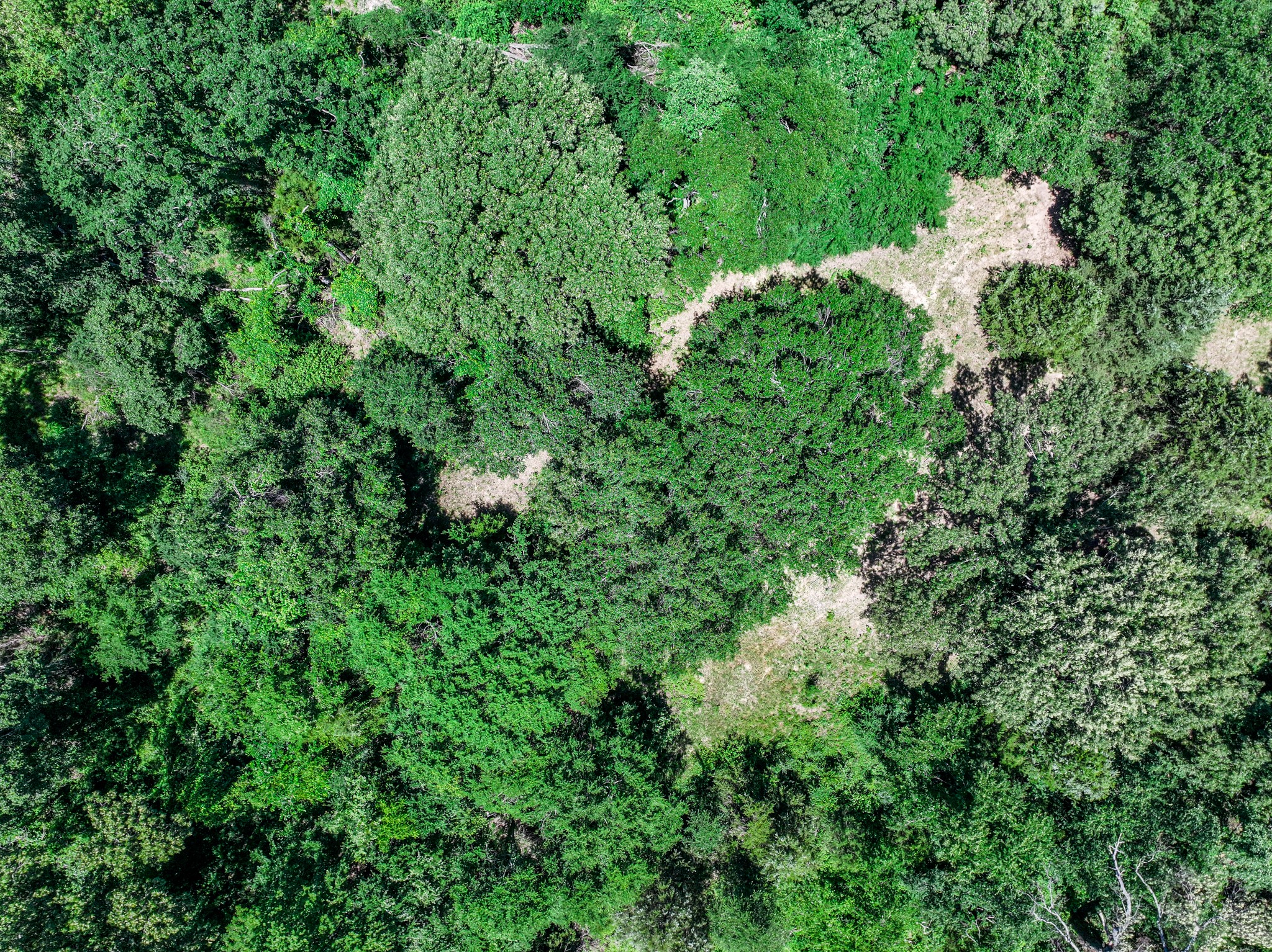 0 Pvt Road 6142 Wills Point TX 75169