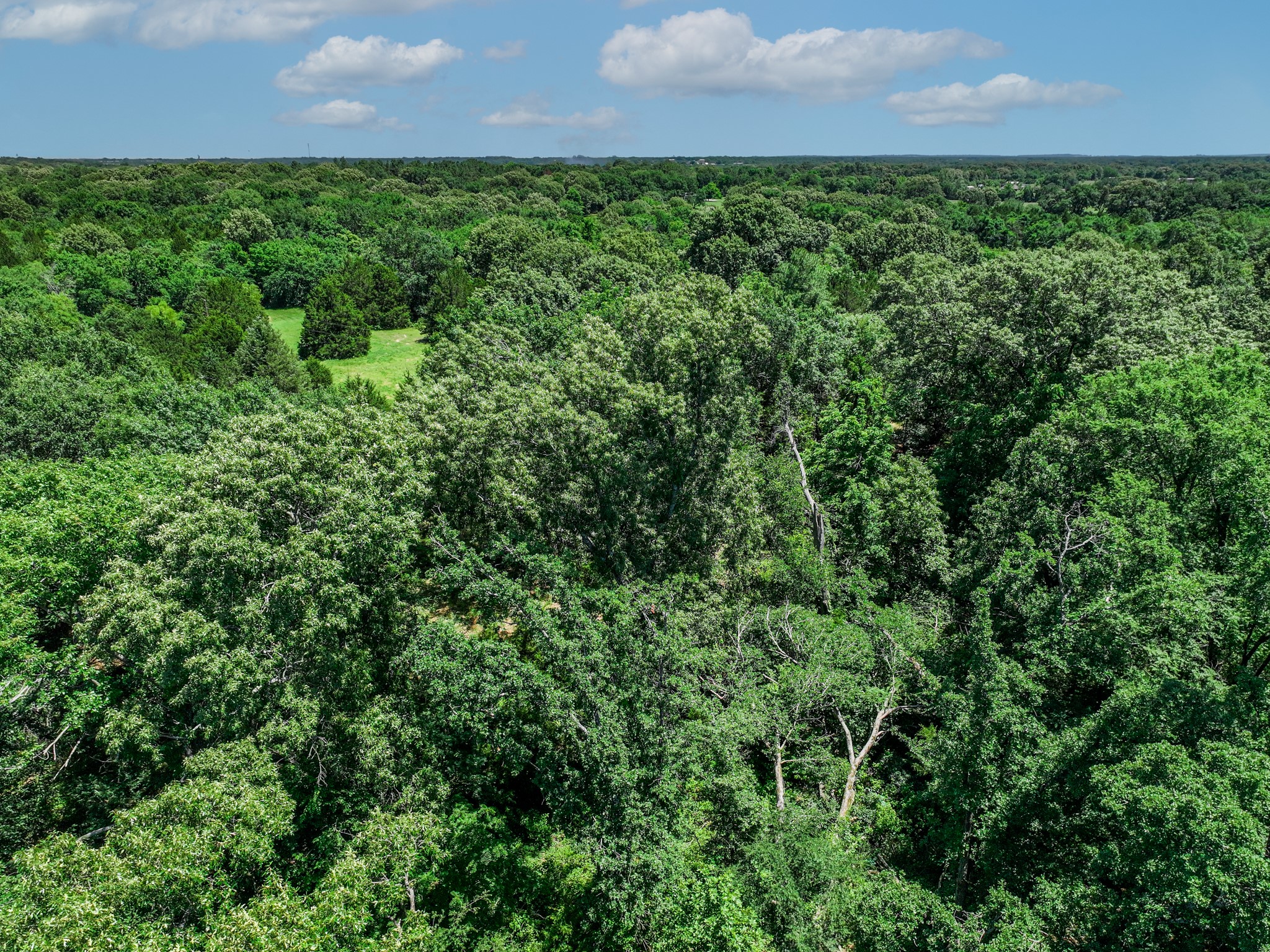 0 Pvt Road 6142 Wills Point TX 75169