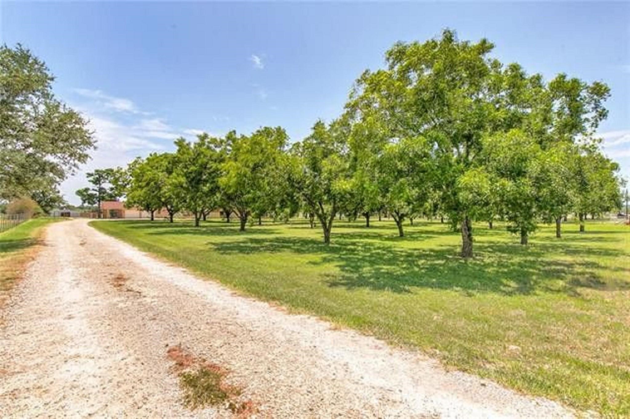 4696-B N Highway 377 Stephenville TX 76401