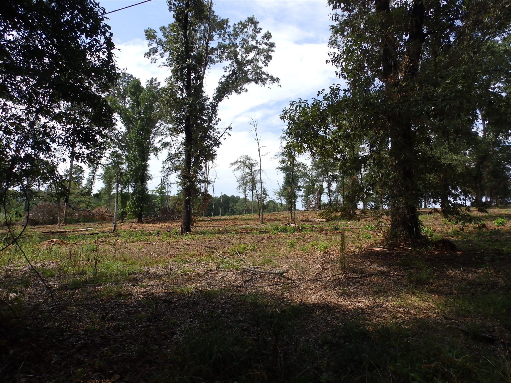 16393 W State Highway 31 Tyler TX 75709