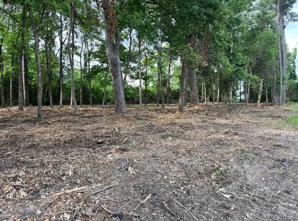 4000 Ellen Trout Drive Lufkin TX 75904