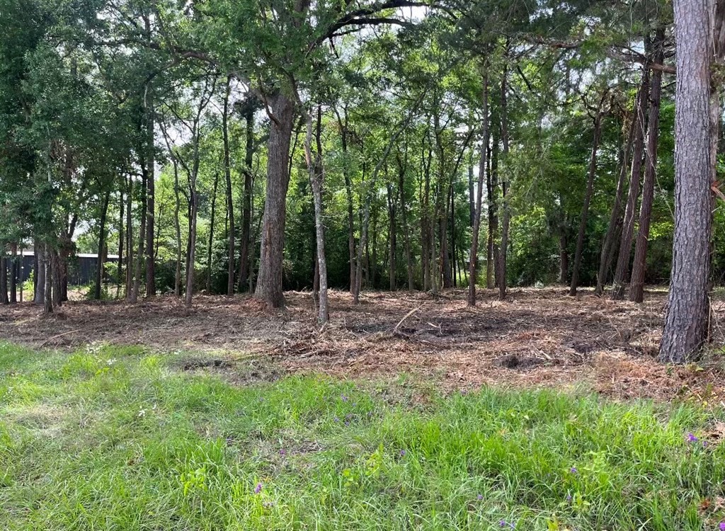 4000 Ellen Trout Drive Lufkin TX 75904