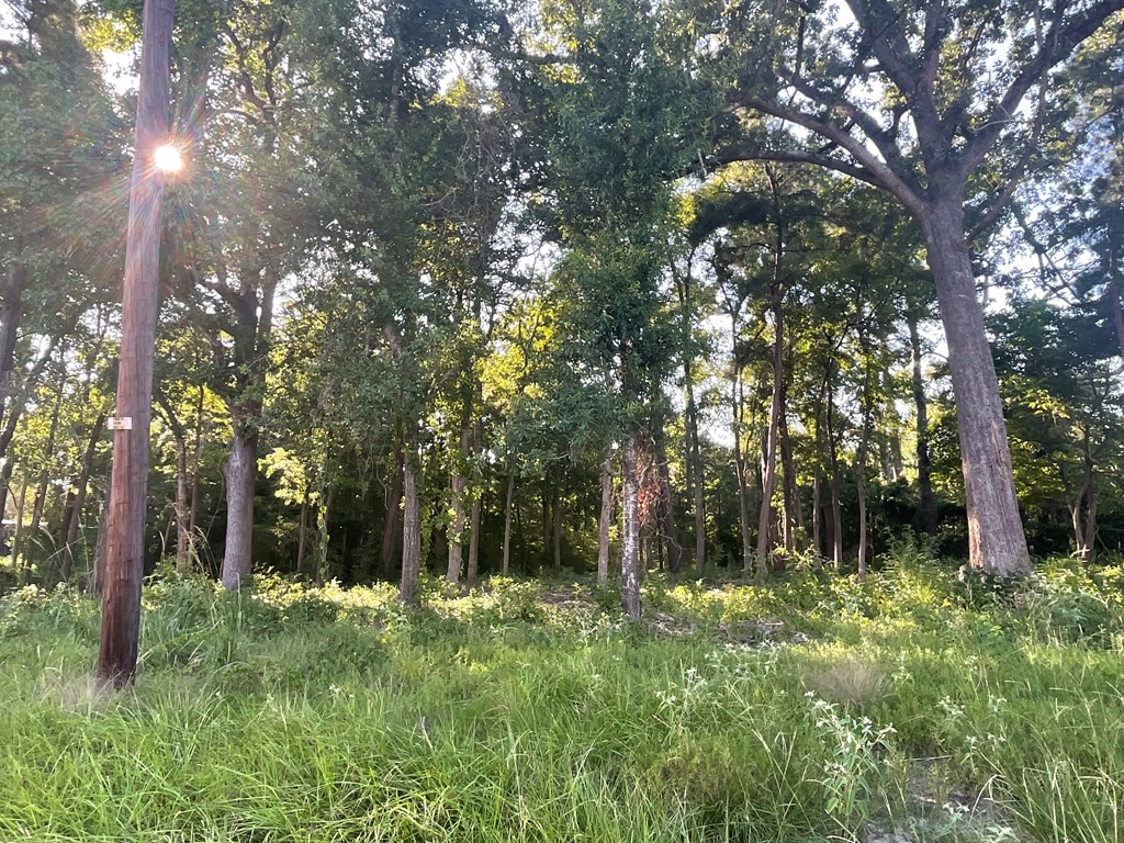 4000 Ellen Trout Drive Lufkin TX 75904