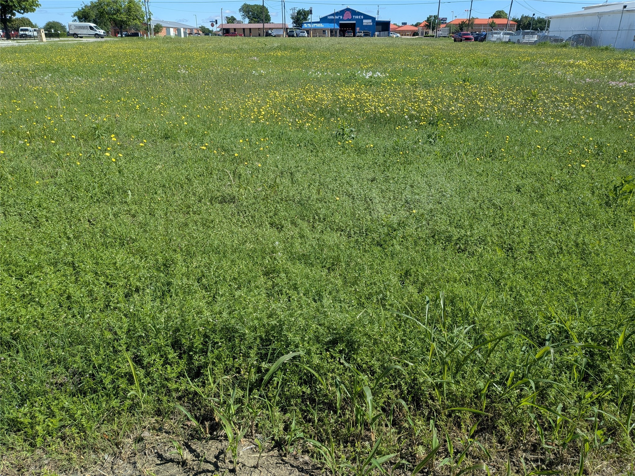 6200 Huddleston Street Haltom City TX 76137