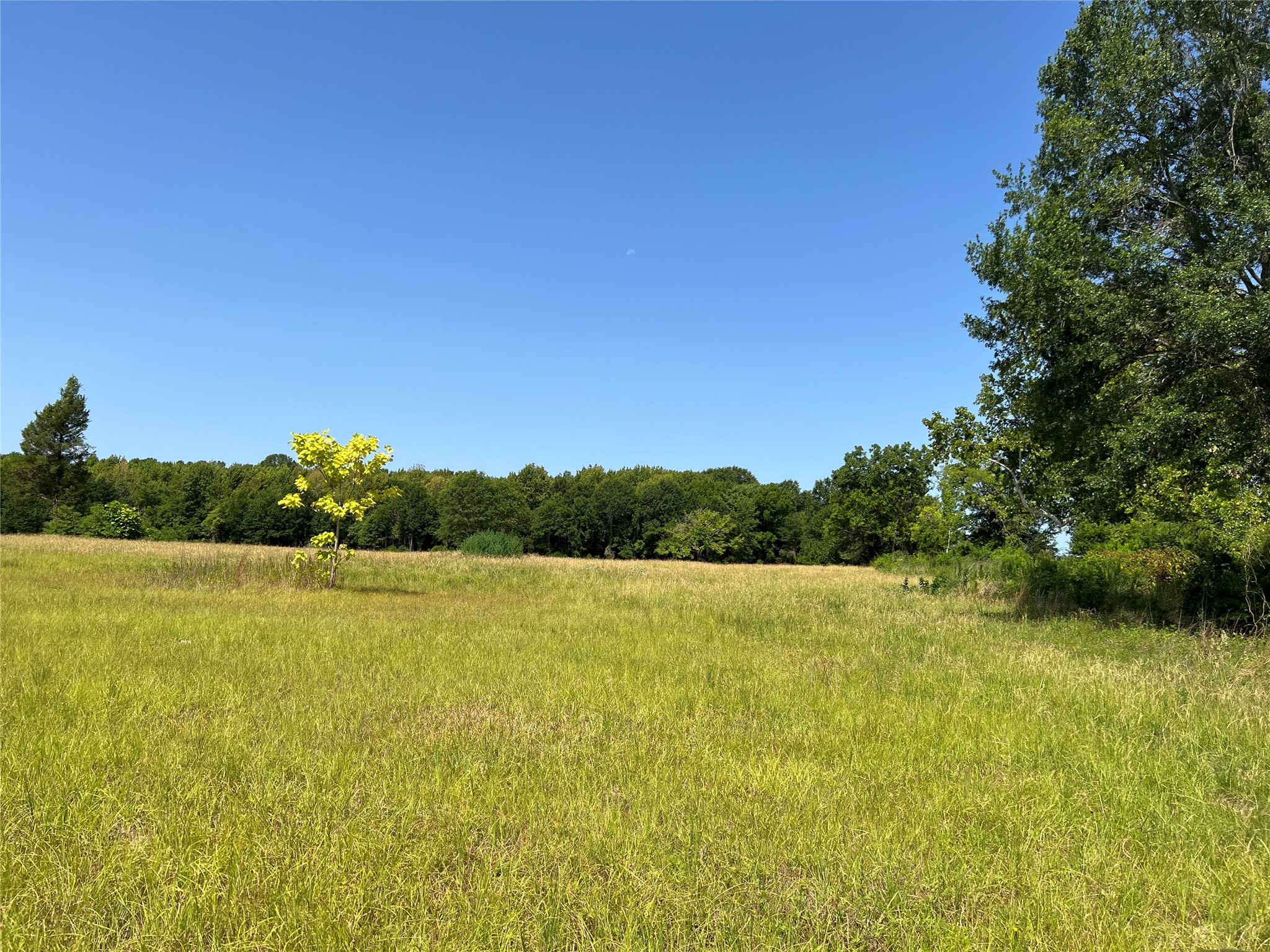 16326 State Highway 155 S Tyler TX 75703