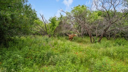 1101 Early Boulevard Early TX 76802