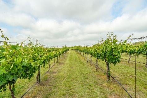 675 County Road 497 Dublin TX 76446