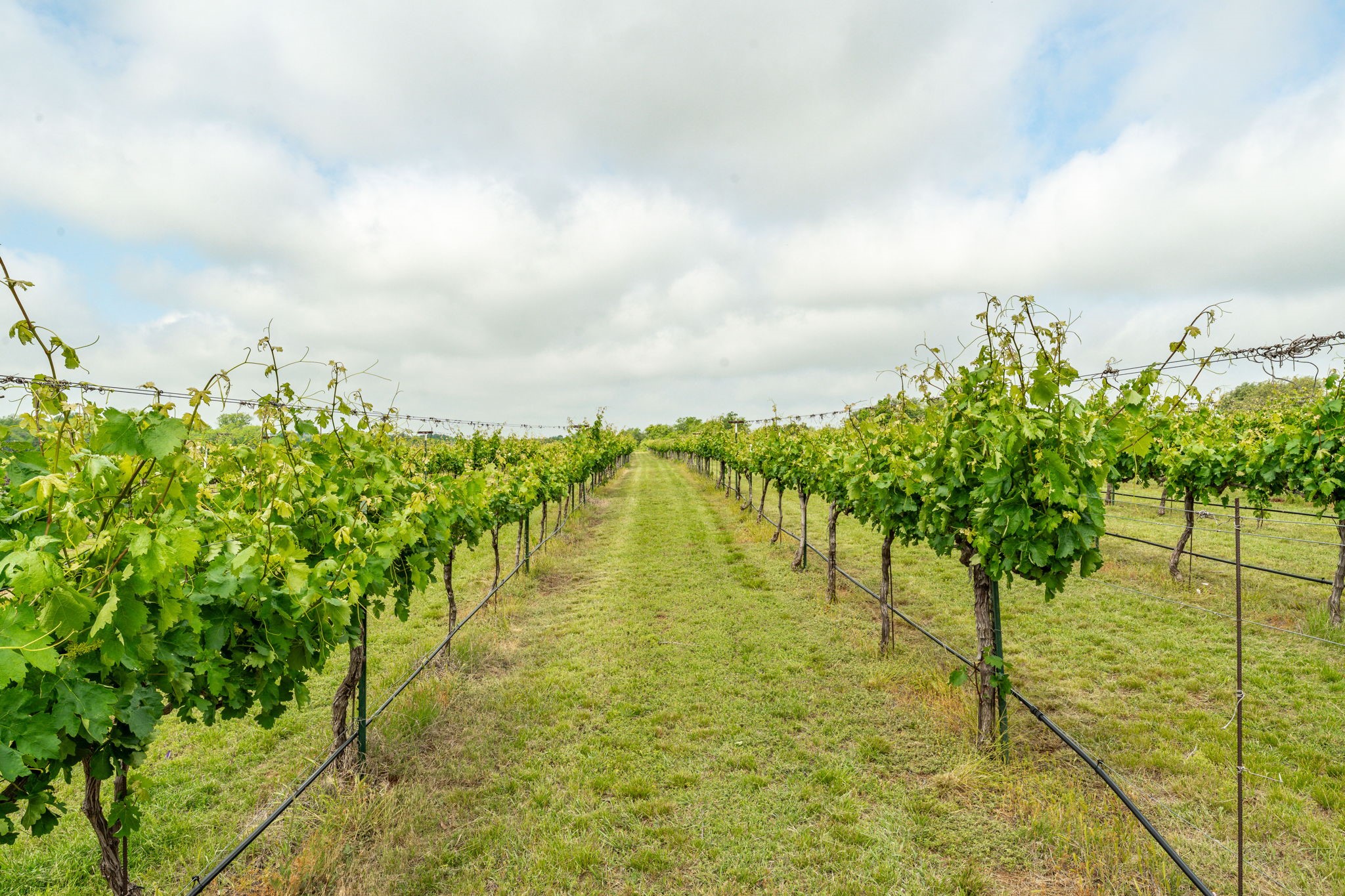 675 County Road 497 Dublin TX 76446