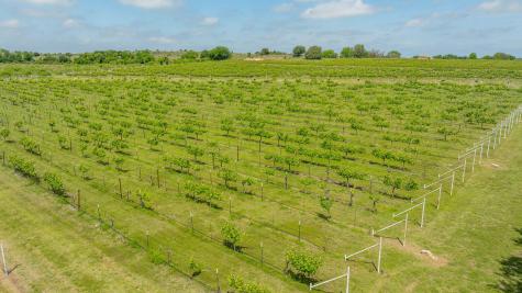 675 County Road 497 Dublin TX 76446
