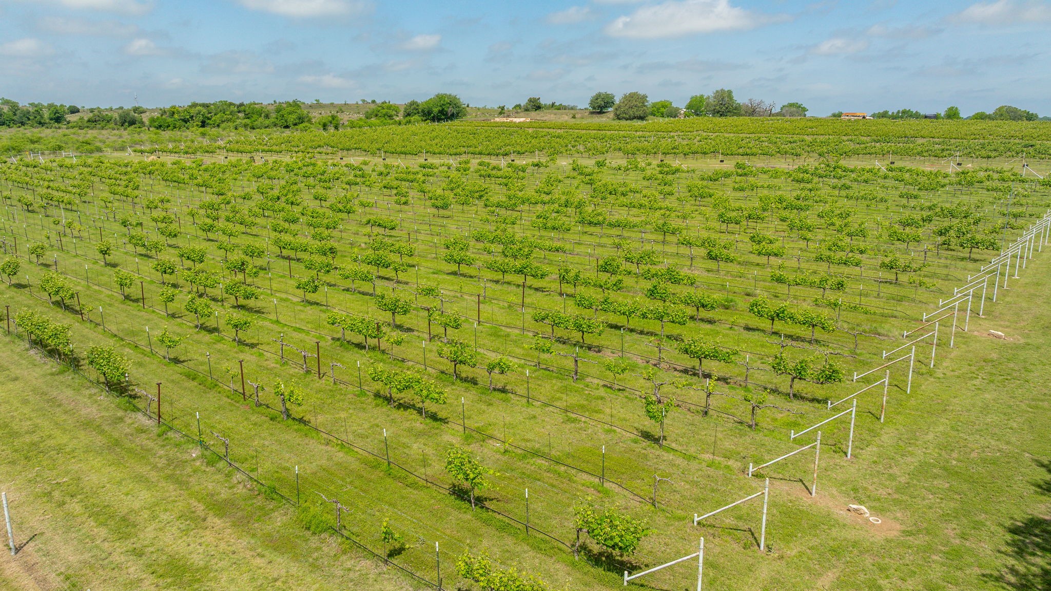 675 County Road 497 Dublin TX 76446