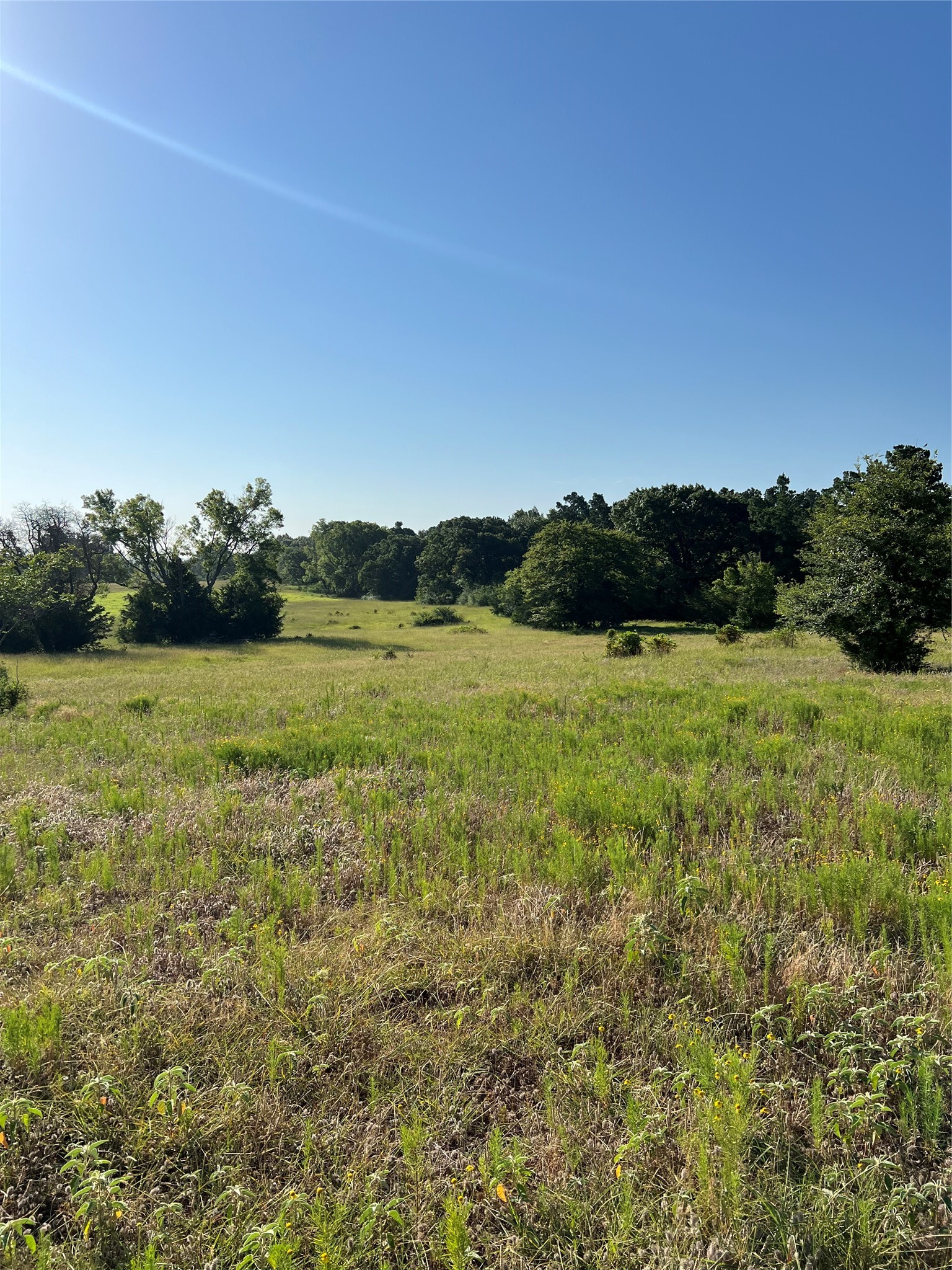 Tbd E. Centennial Tyler TX 75706