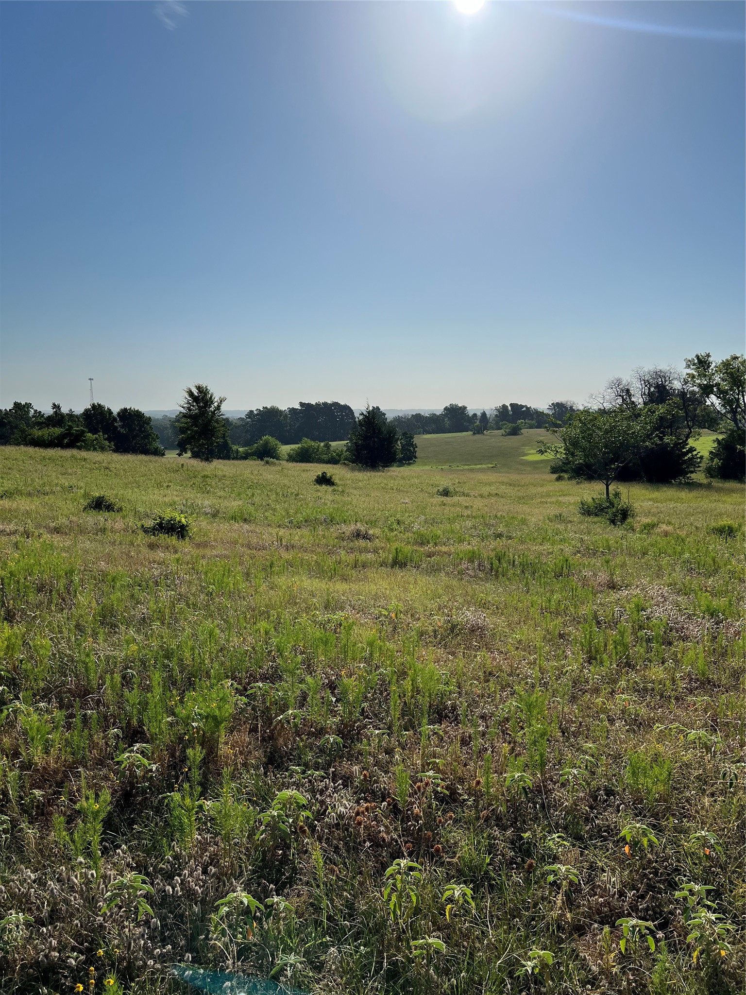 Tbd E. Centennial Tyler TX 75706