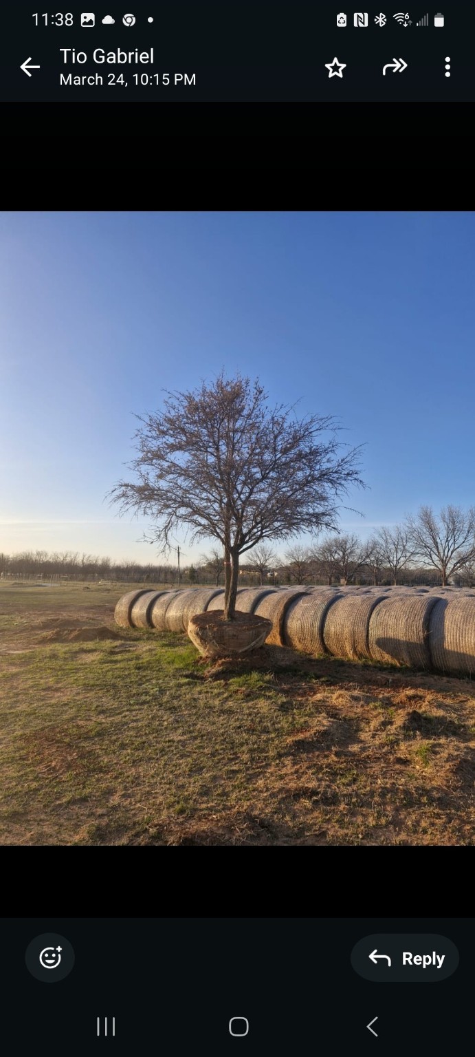 401 County Road 326 Comanche TX 76442