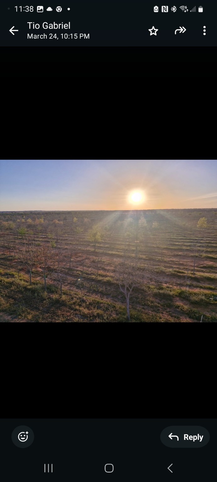 401 County Road 326 Comanche TX 76442