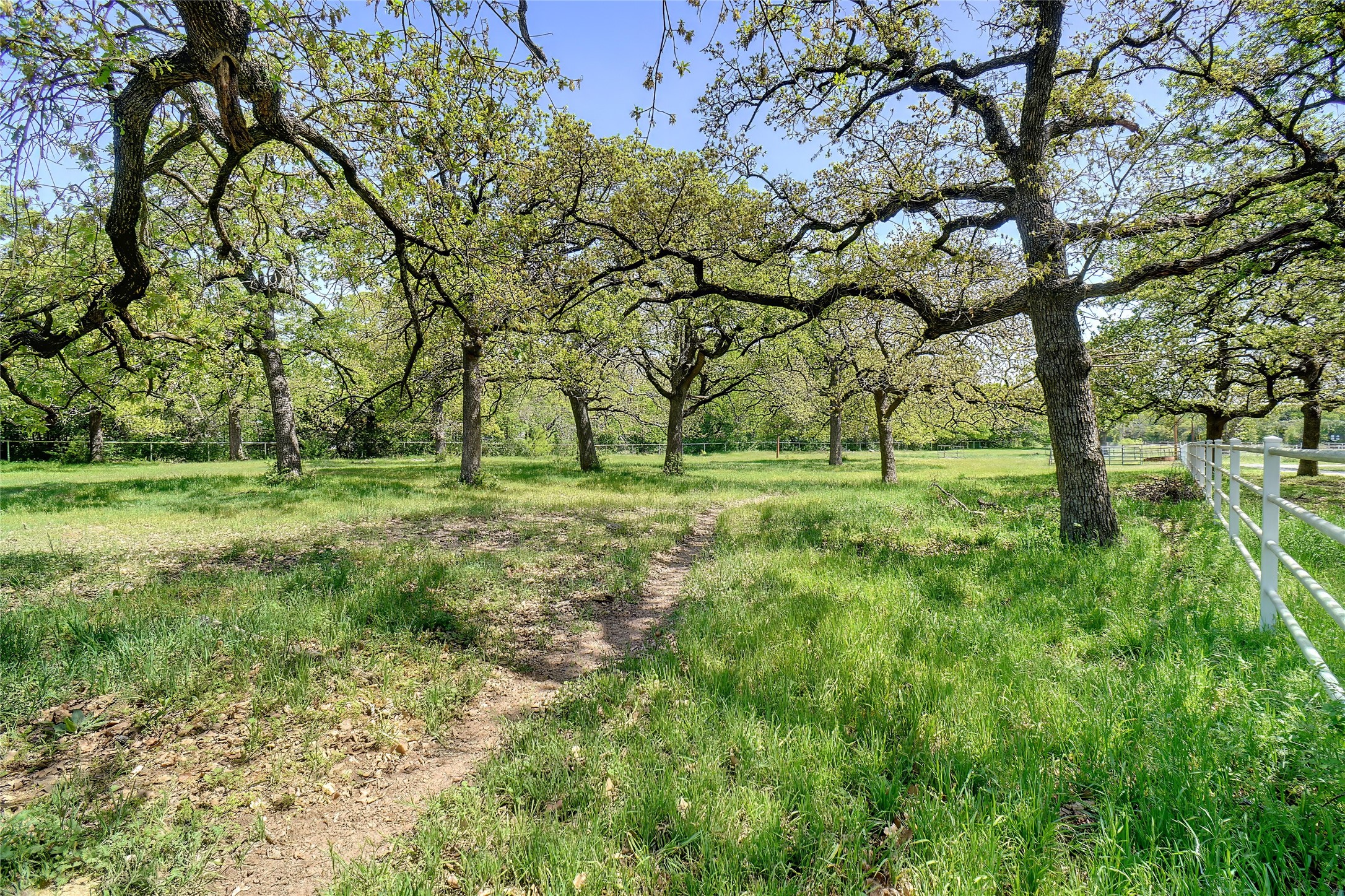 13449 Fm 730 S Azle TX 76020