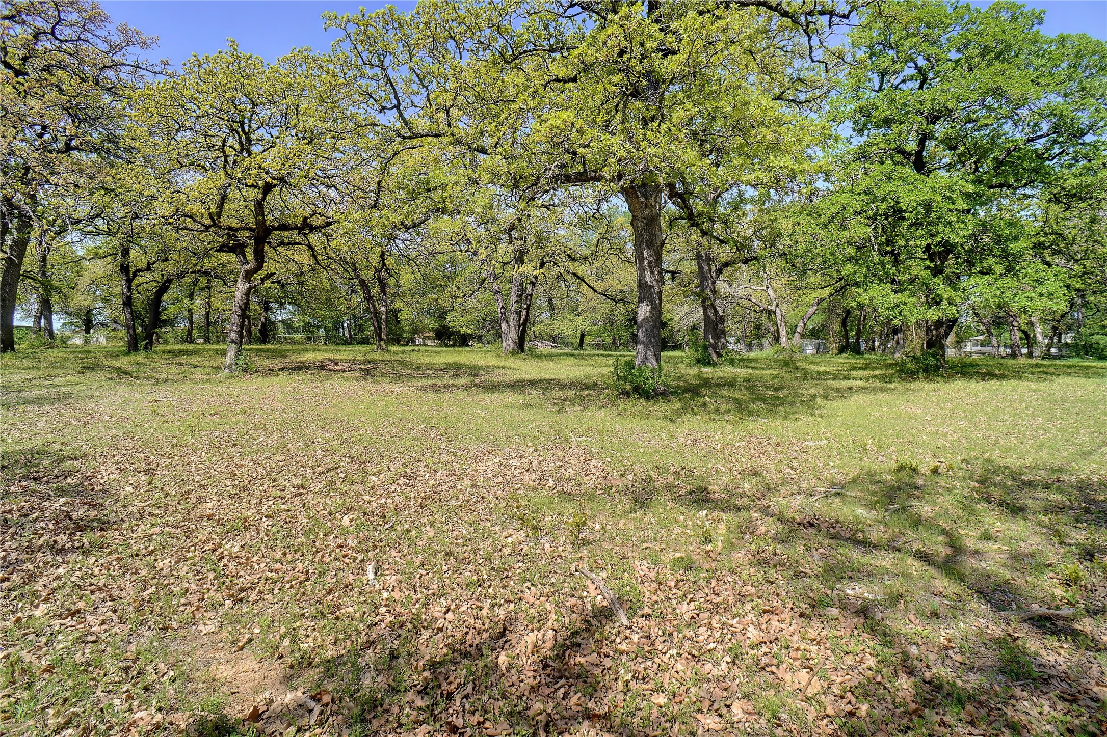 13449 Fm 730 S Azle TX 76020