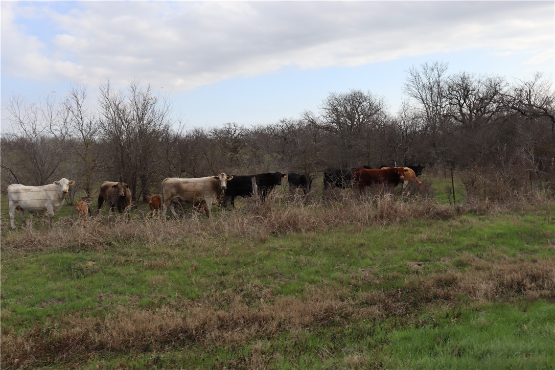 4202 S Fm 339 Groesbeck TX 76642