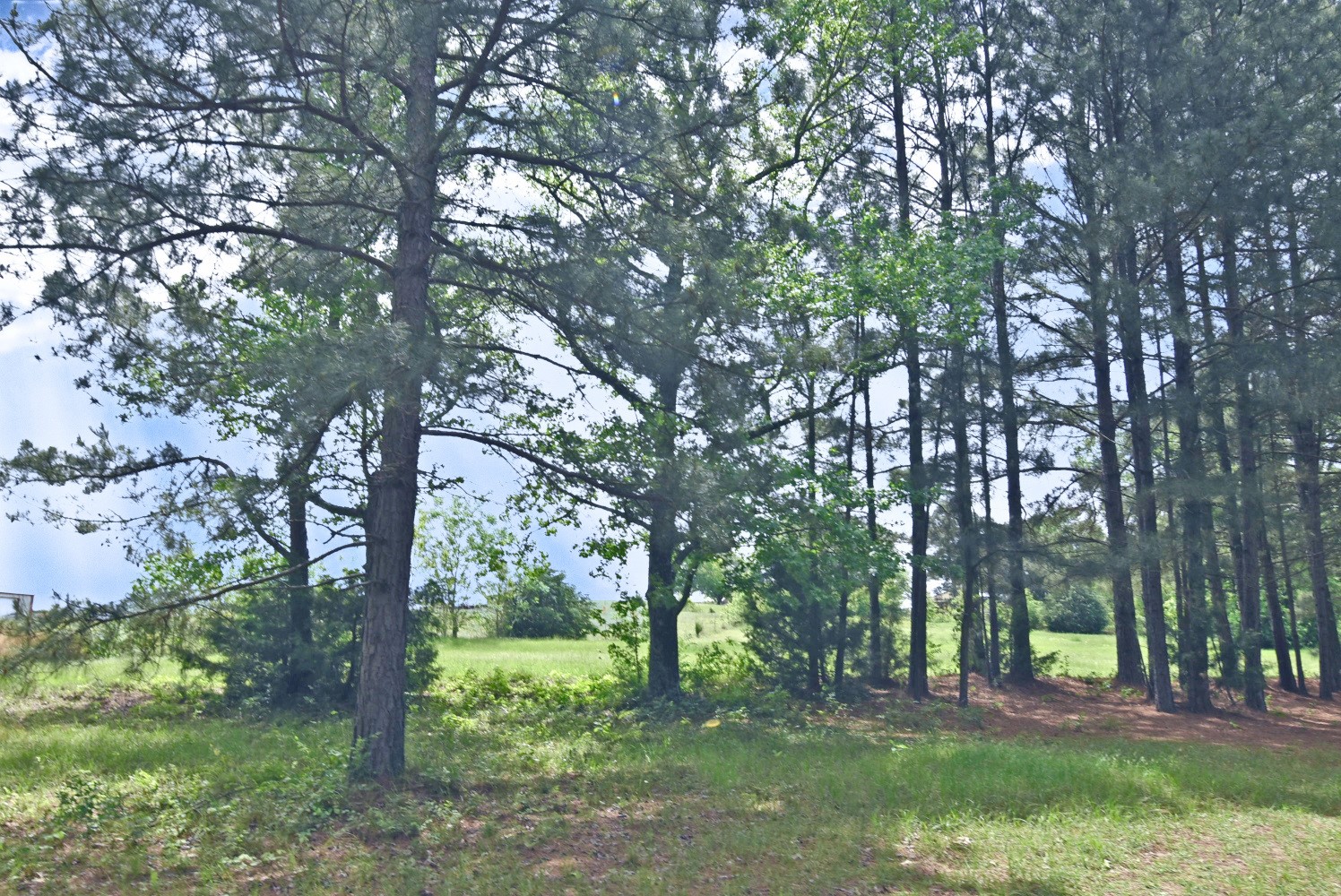 4413 Fm 16 W Tyler TX 75706
