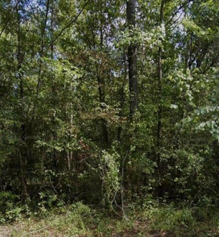 R18483 Webb Rogers Road Marshall TX 75672