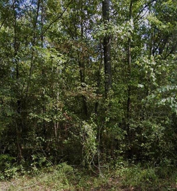 R18483 Webb Rogers Road Marshall TX 75672