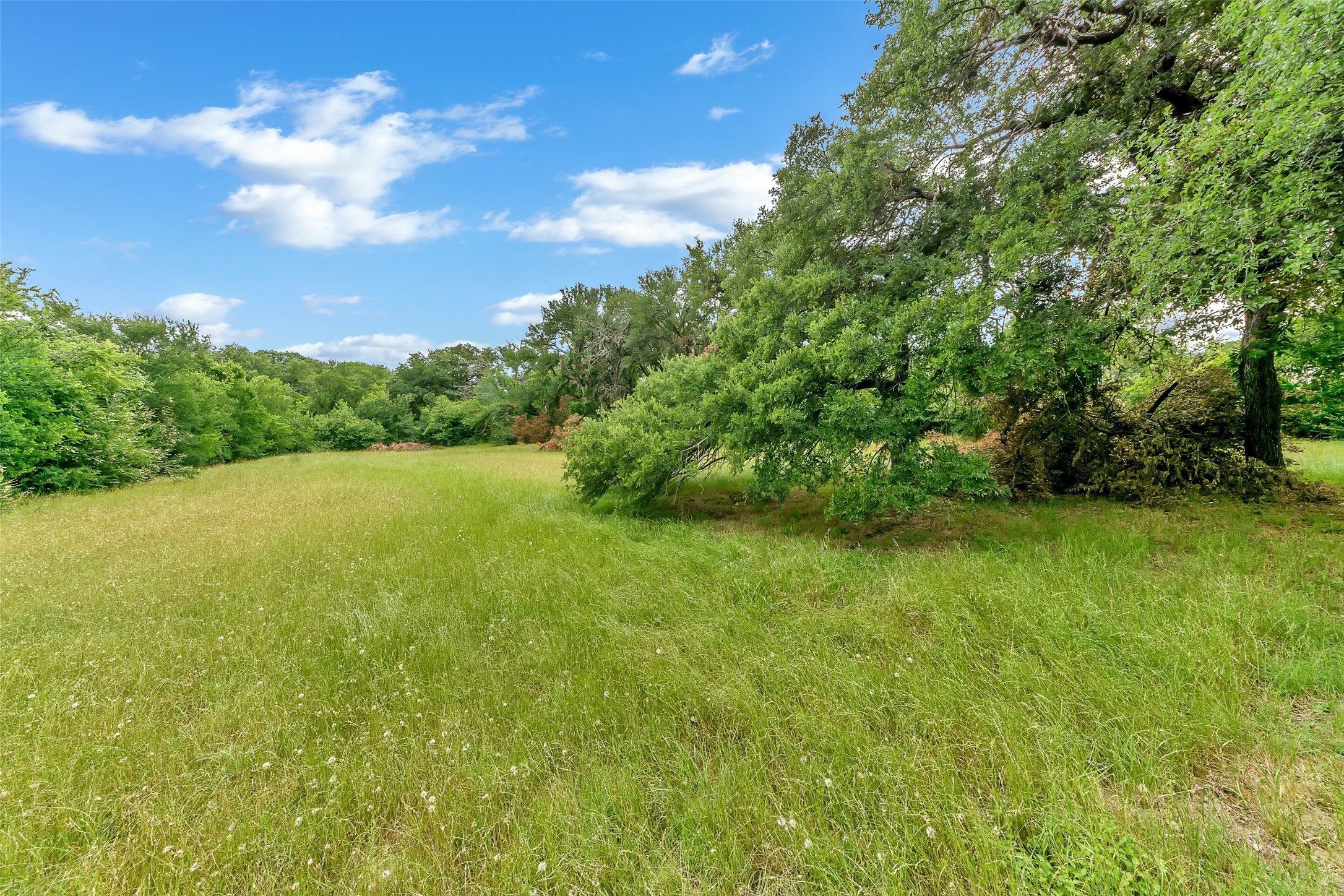 12258 S Fm 730 Azle TX 76020