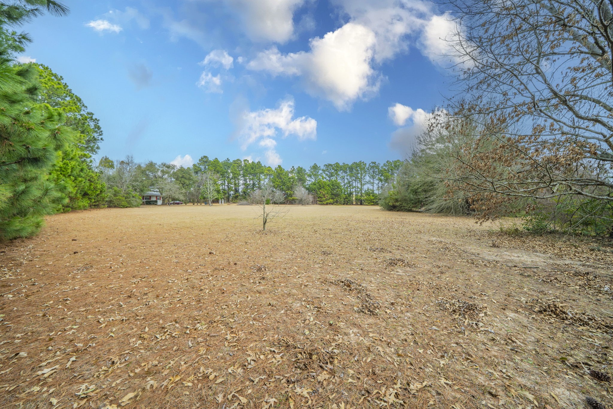 2315 State Highway 31 E Athens TX 75752