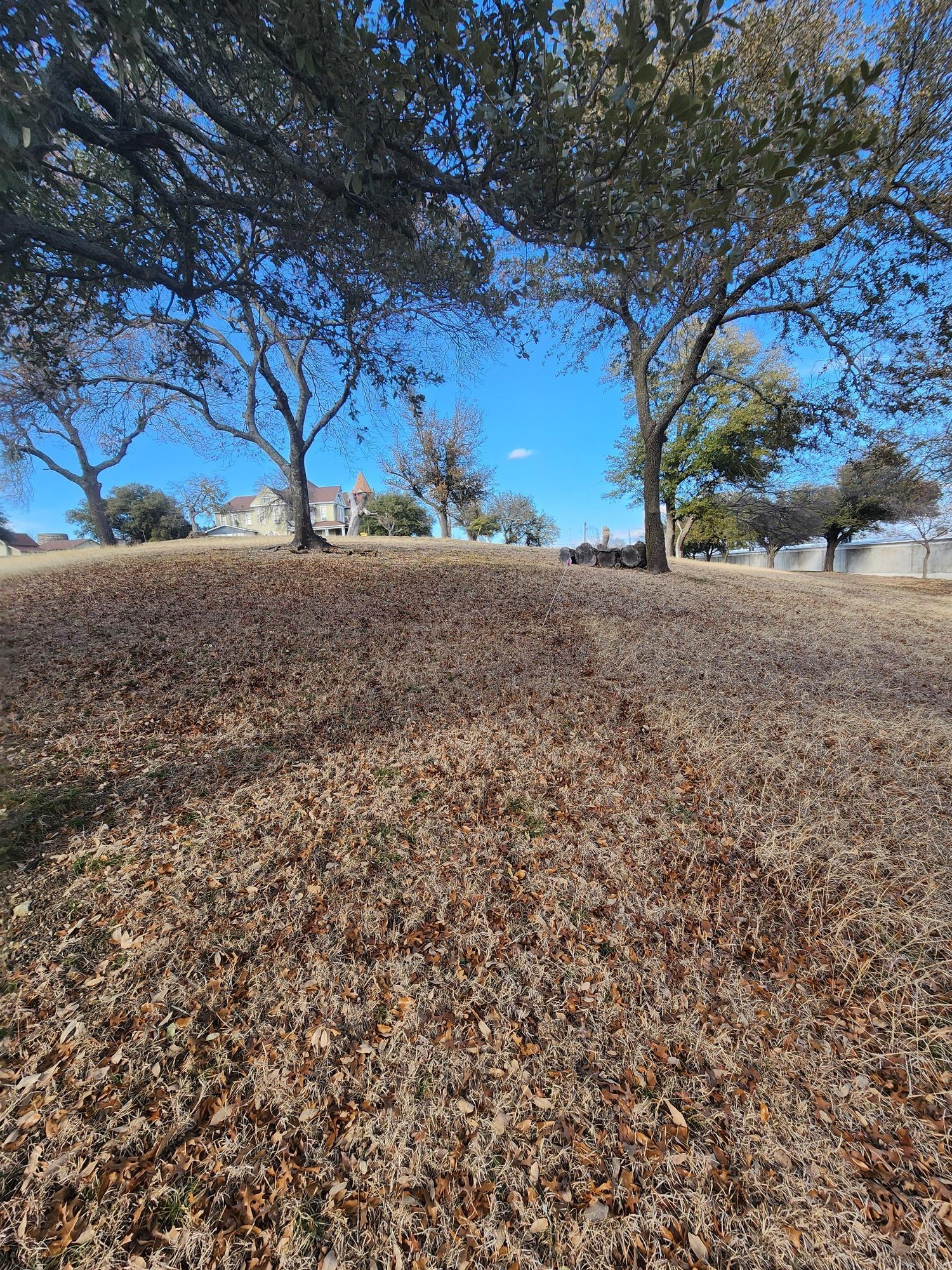 1105 Palo Pinto Street Weatherford TX 76086