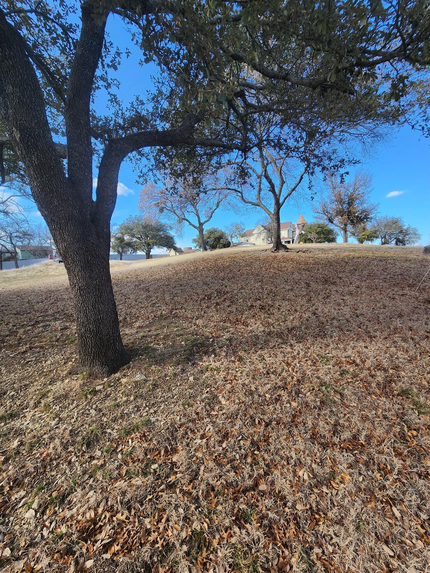 1105 Palo Pinto Street Weatherford TX 76086