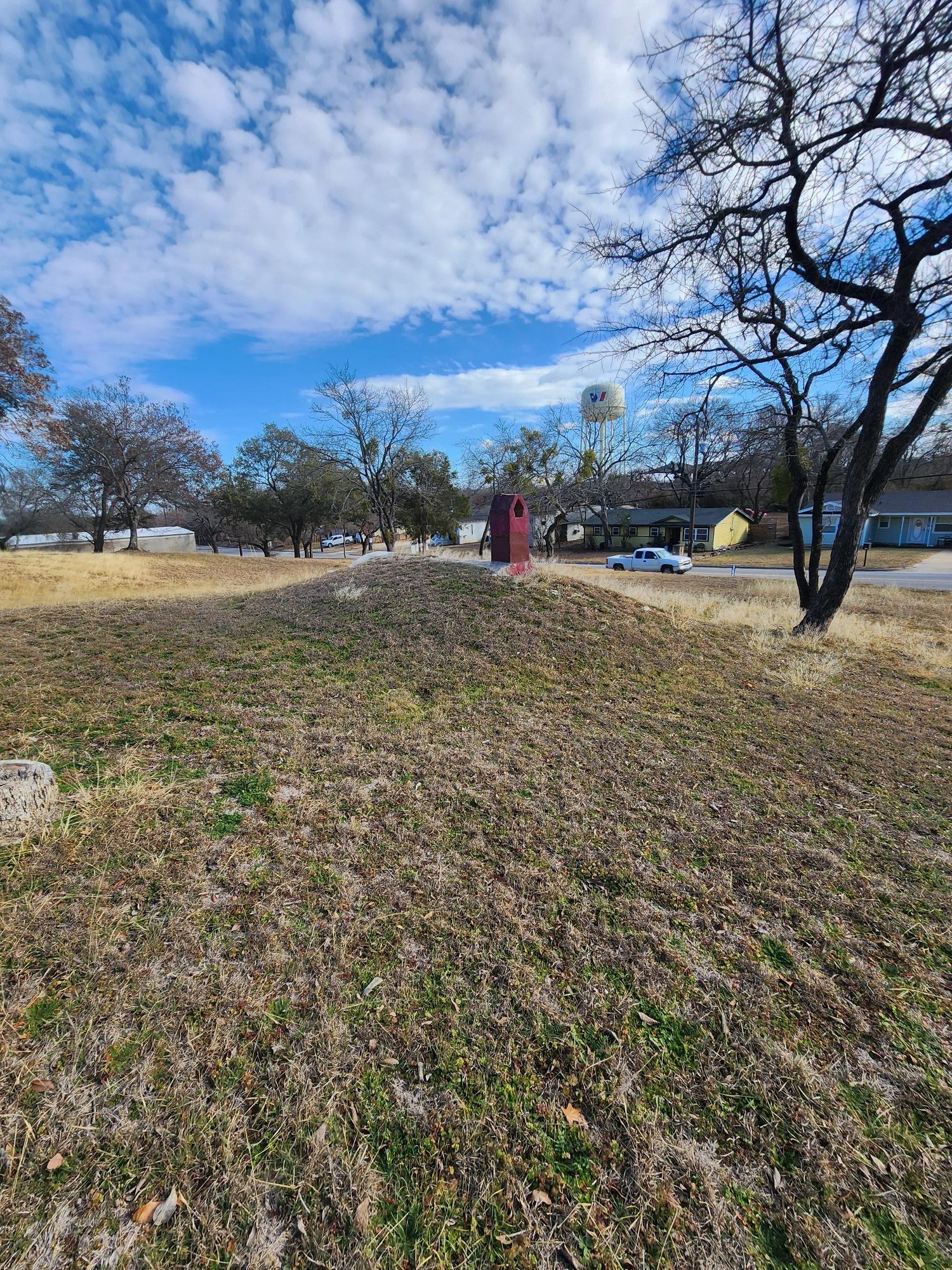 1105 Palo Pinto Street Weatherford TX 76086