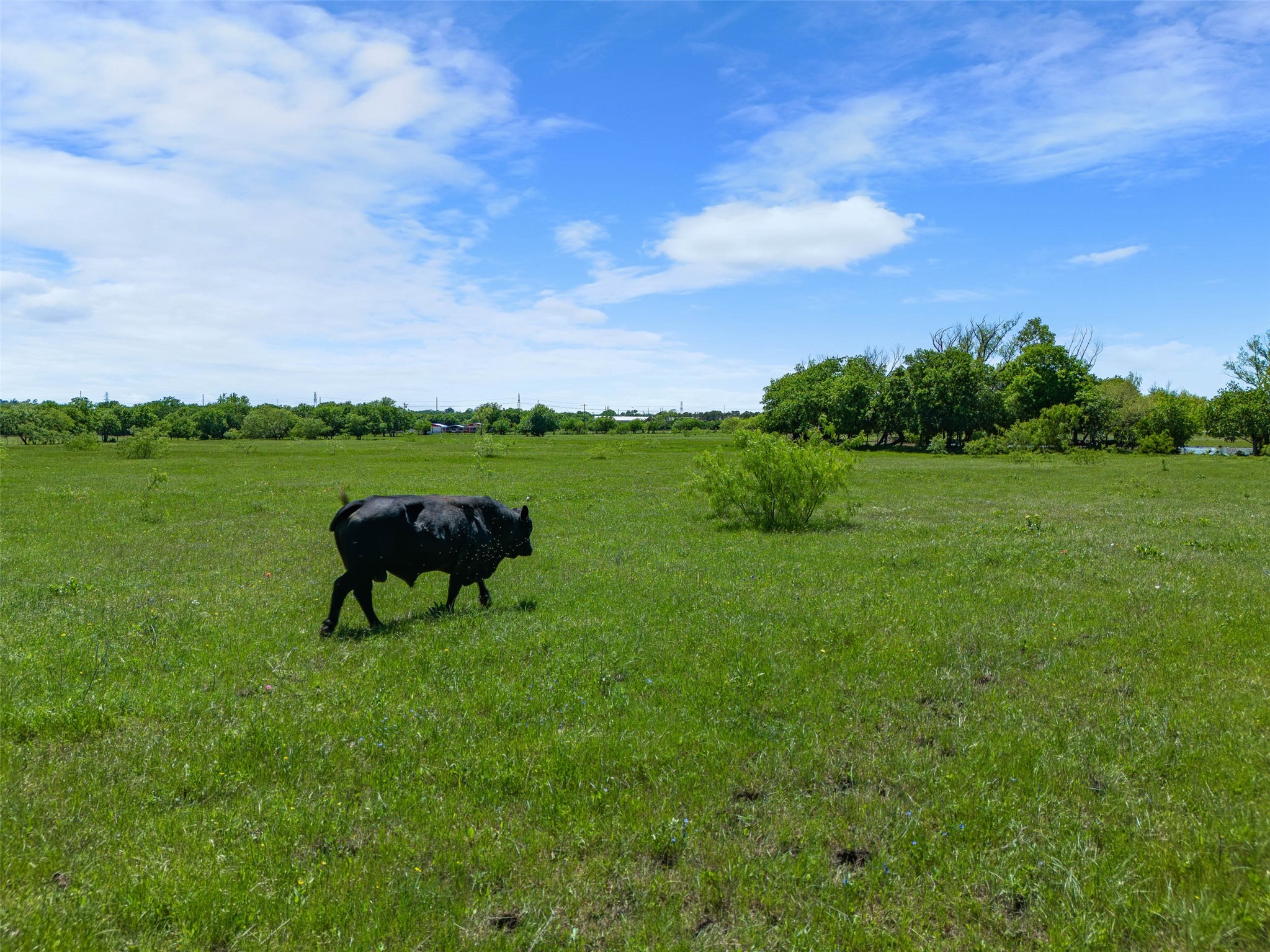 2507A Howell Drive Mansfield TX 76084