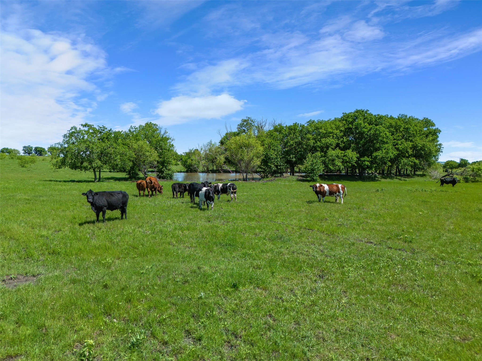 2507A Howell Drive Mansfield TX 76084