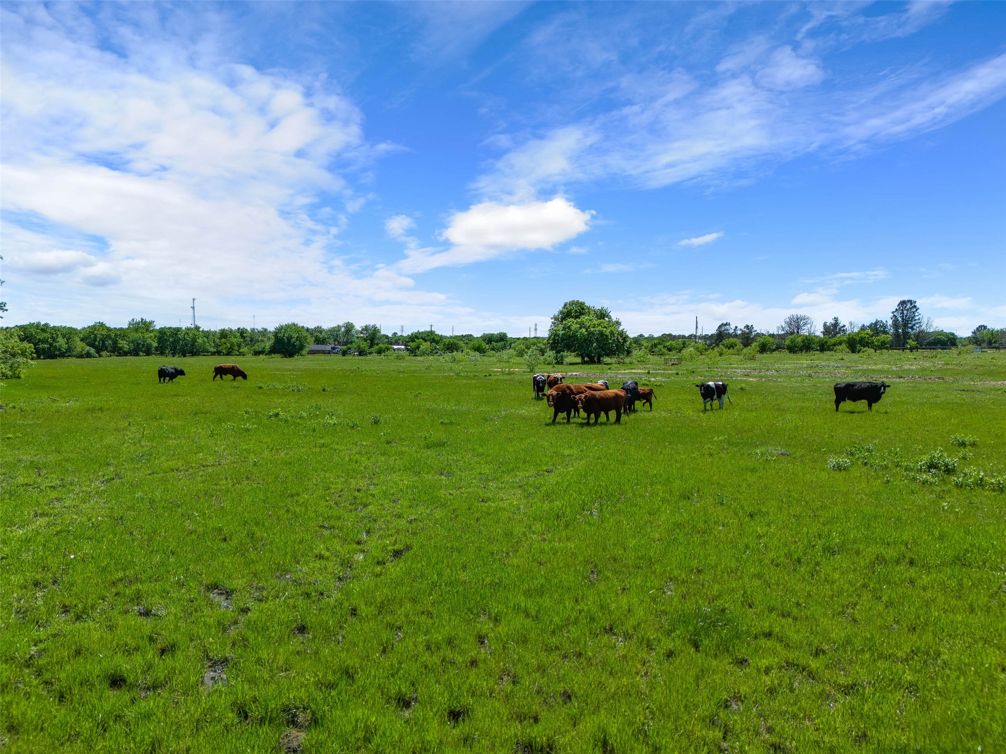 2507A Howell Drive Mansfield TX 76084