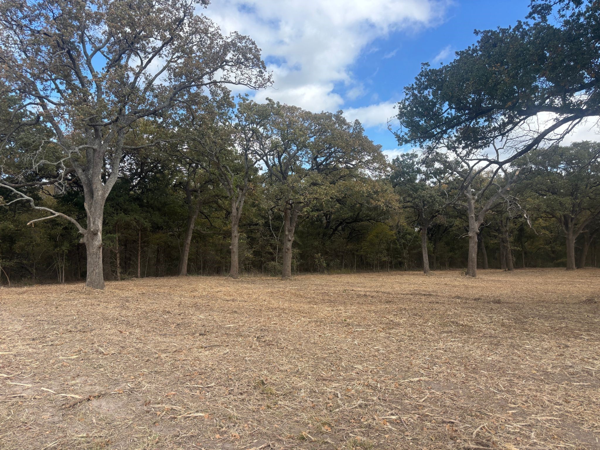 5.2 Acres Fm 1570 Greenville TX 75402