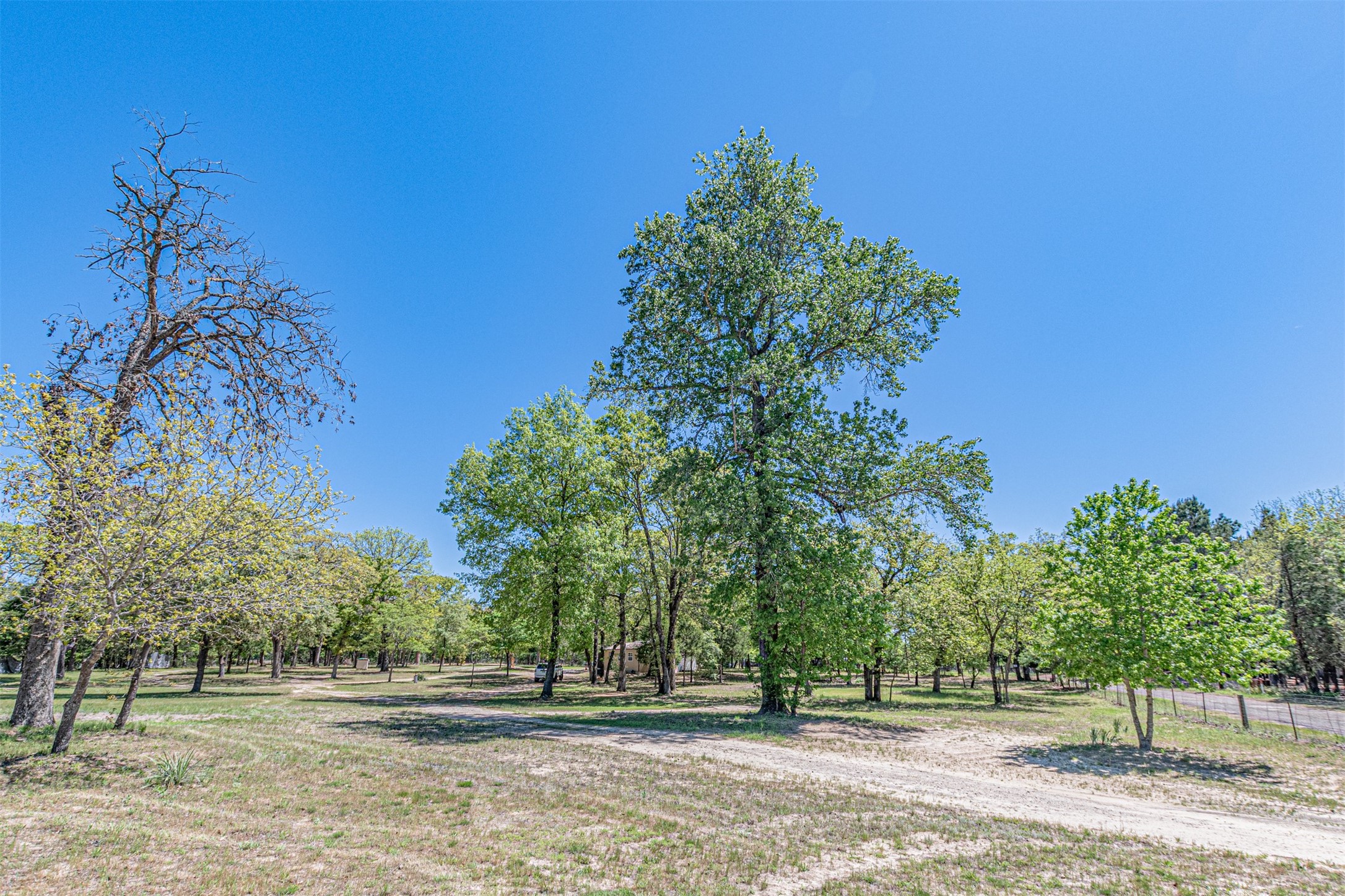 6481 County Road 4522 Athens TX 75752