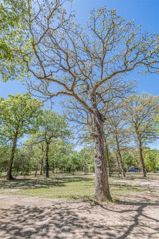 6481 County Road 4522 Athens TX 75752