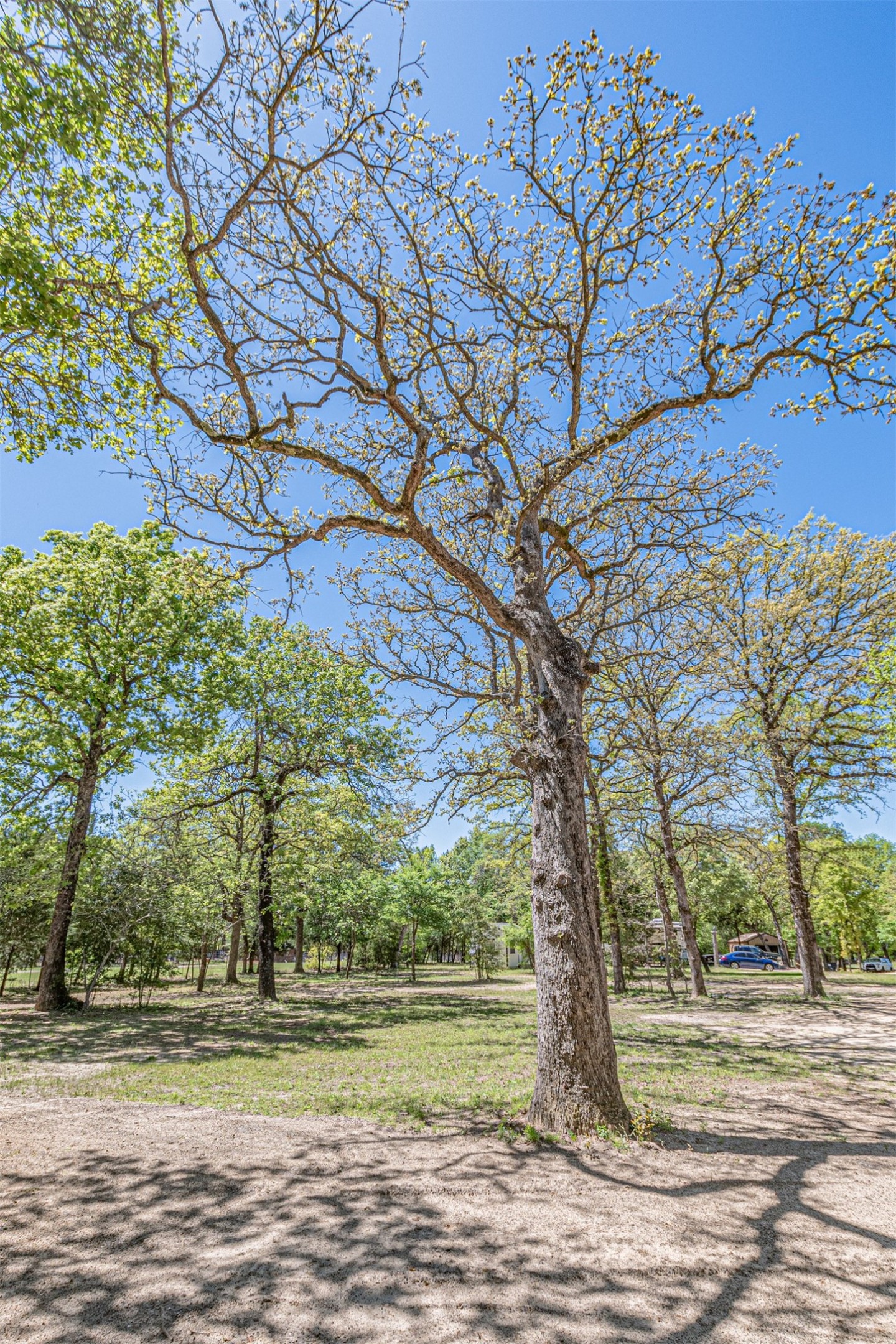 6481 County Road 4522 Athens TX 75752